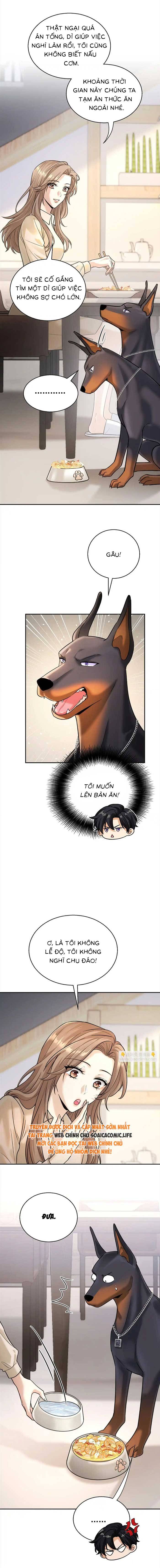 Tổng Tài Chó - Chap 11