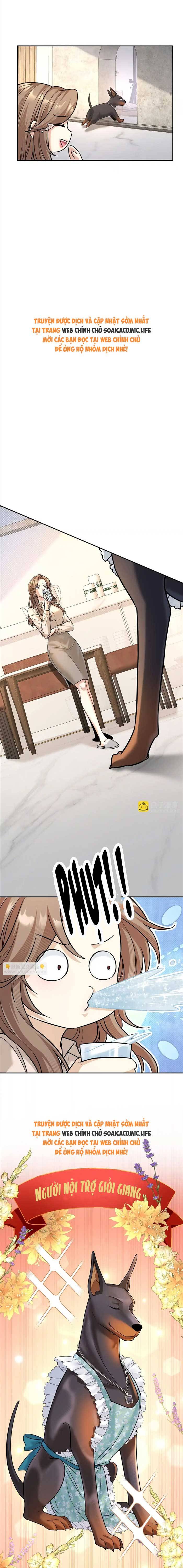 Tổng Tài Chó - Chap 11