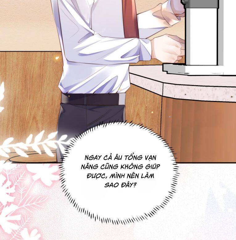 Tổng Tài Định Chế Tư Nhân - Chap 117