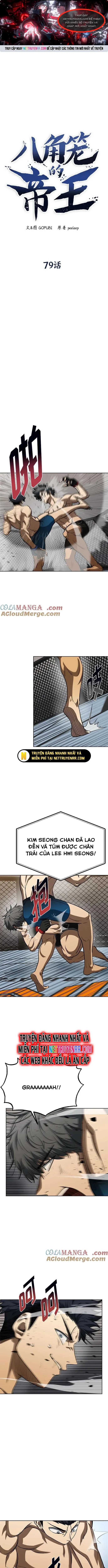 Vua Võ Đài - Chap 79