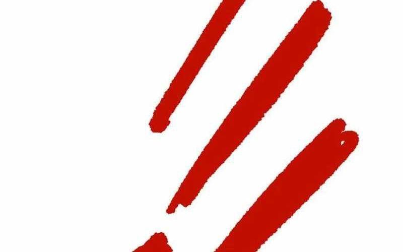 Chiến Binh Cariel - Chap 1