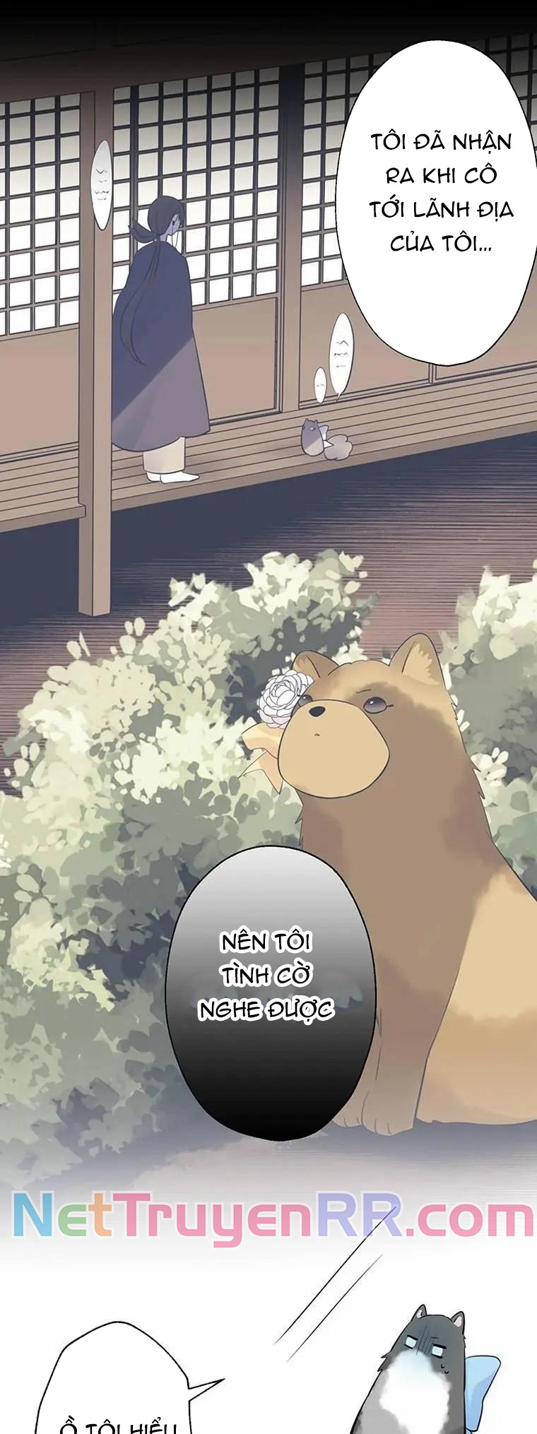 Cô Dâu Hiến Tế Của Thủy Thần - Chap 45