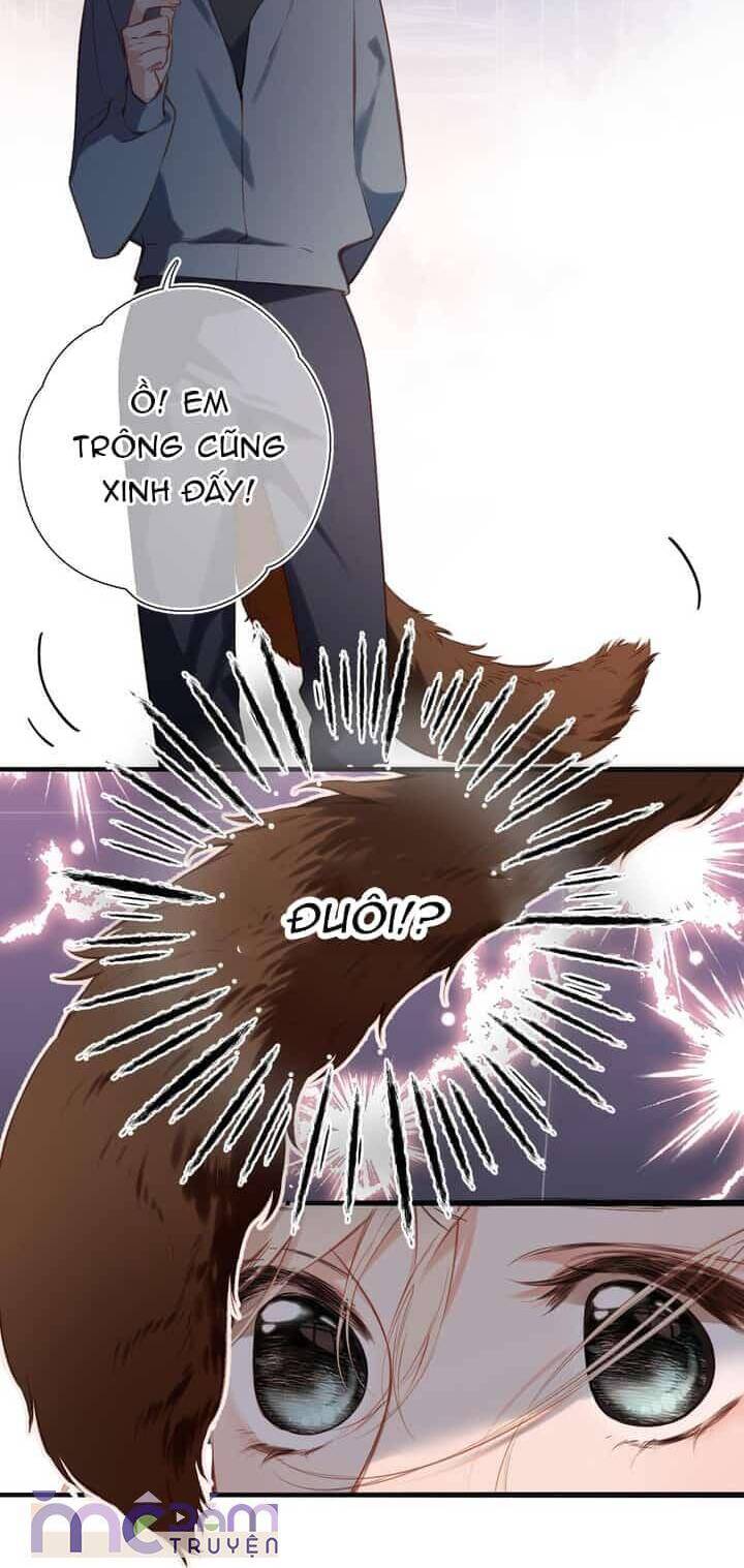 Dã Thú Khi Yêu - Chap 31