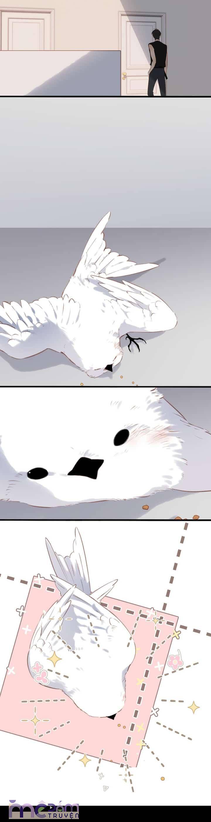 Dã Thú Khi Yêu - Chap 33