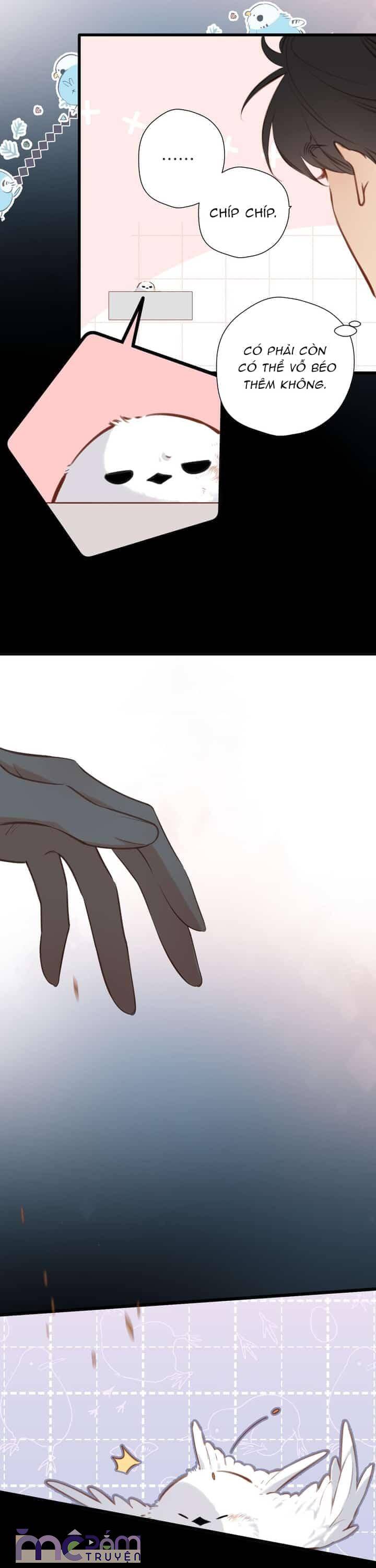 Dã Thú Khi Yêu - Chap 33