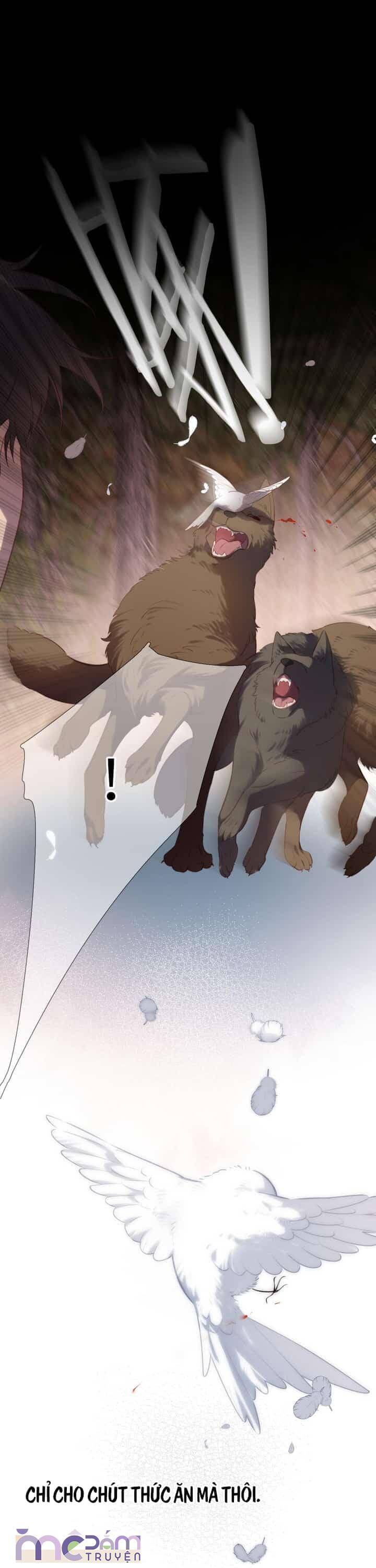 Dã Thú Khi Yêu - Chap 33