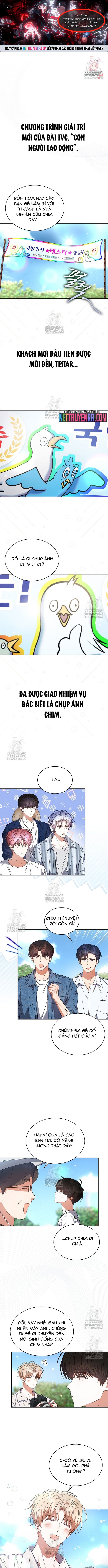 Debut or Die - Chap 80