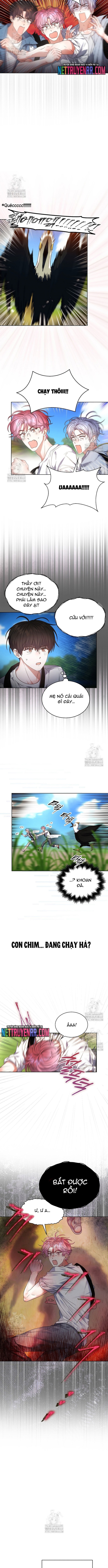 Debut or Die - Chap 80