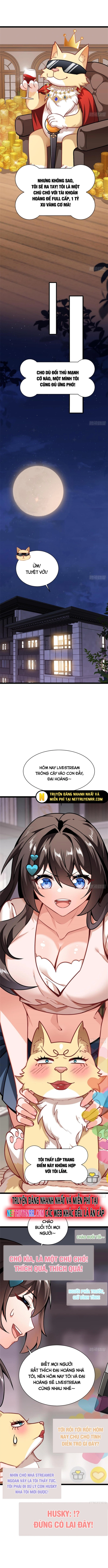 Kế Hoạch Bồi Dưỡng Streamer Của Cẩu Hoàng - Chap 3