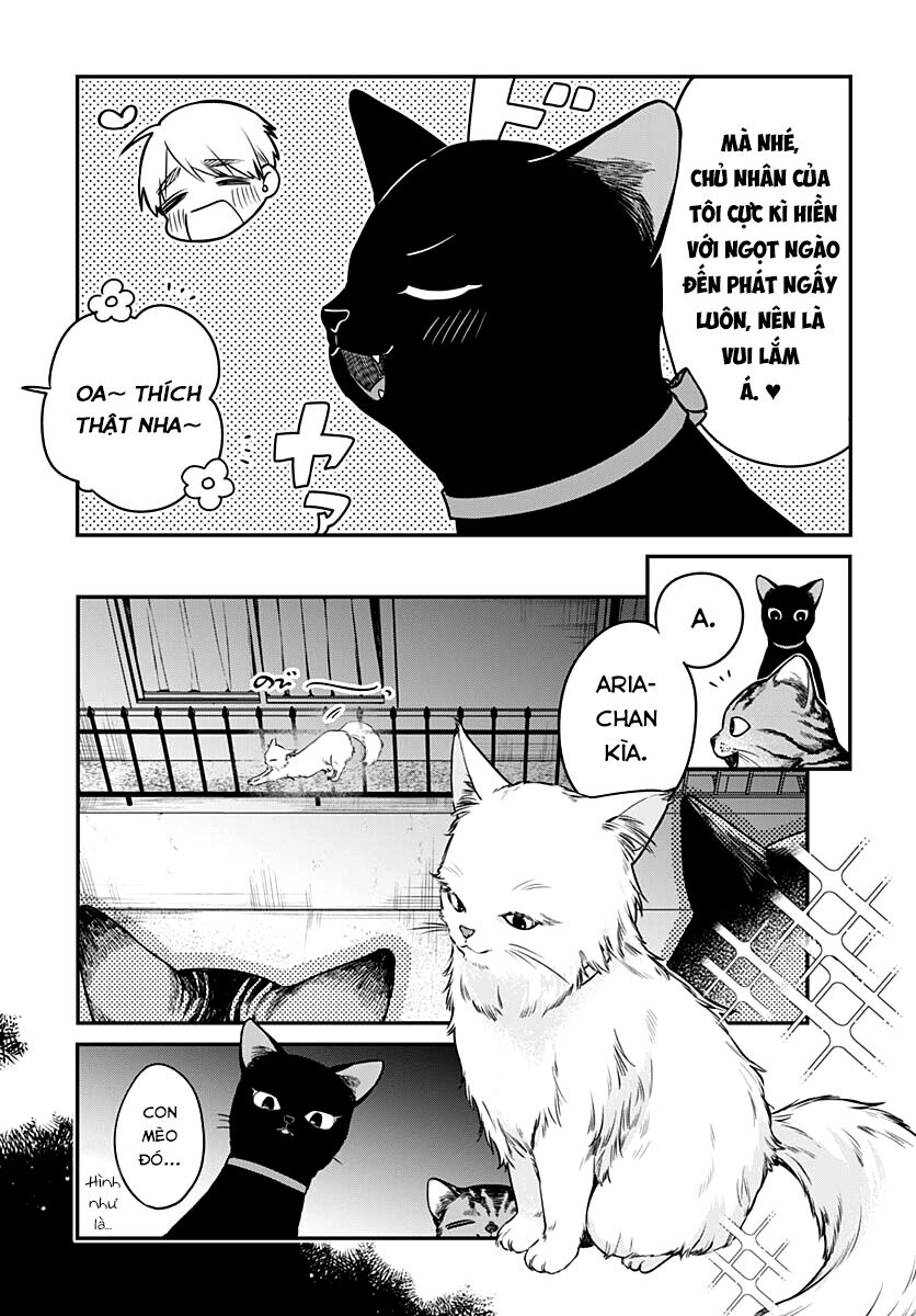Mii-Chan Muốn Được Nhận Nuôi! - Chap 5
