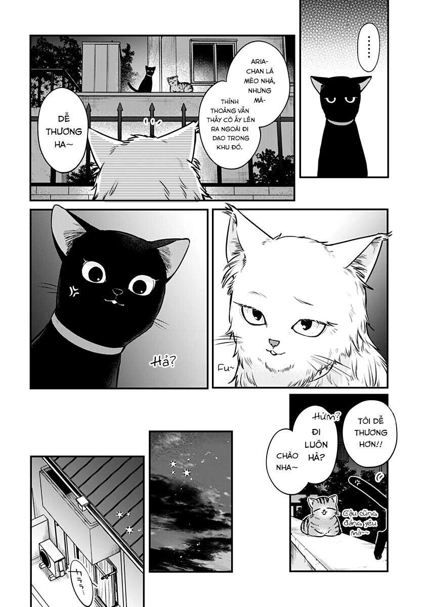 Mii-Chan Muốn Được Nhận Nuôi! - Chap 5