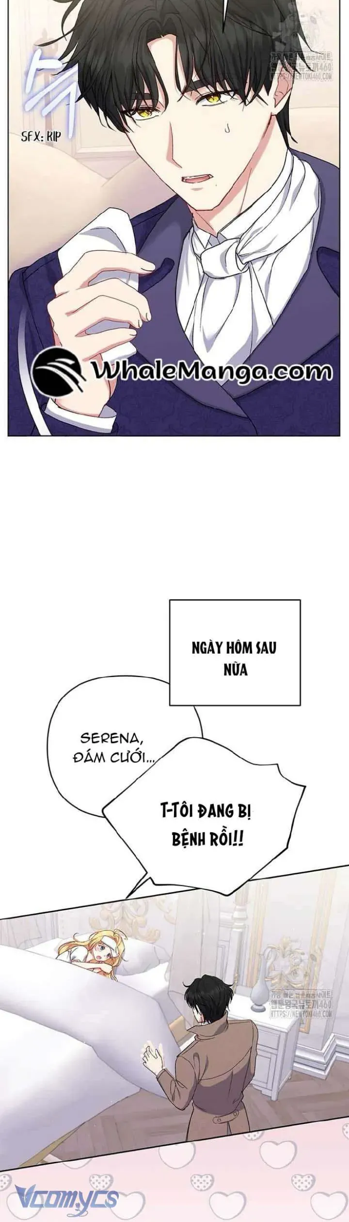 Nàng Vịt Chờ Ngày Hủy Hôn - Chap 13