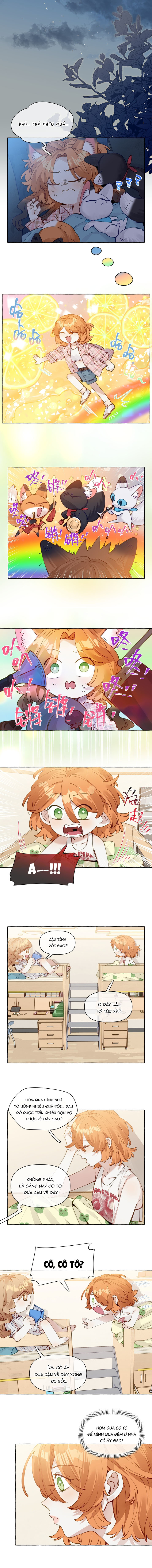 Những Lời Nói Dối Của Hồ Ly - Chap 9