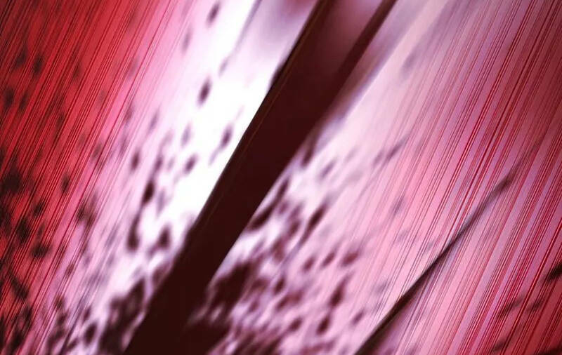 Thợ Săn Ăn Thịt Người - Chap 38