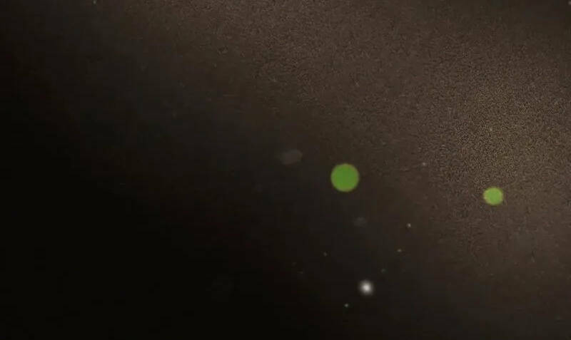 Thợ Săn Ăn Thịt Người - Chap 38