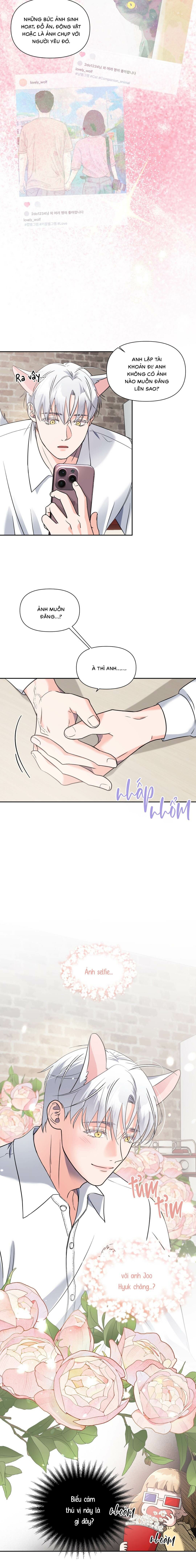 Chàng Sói Đáng Yêu - Chap 17