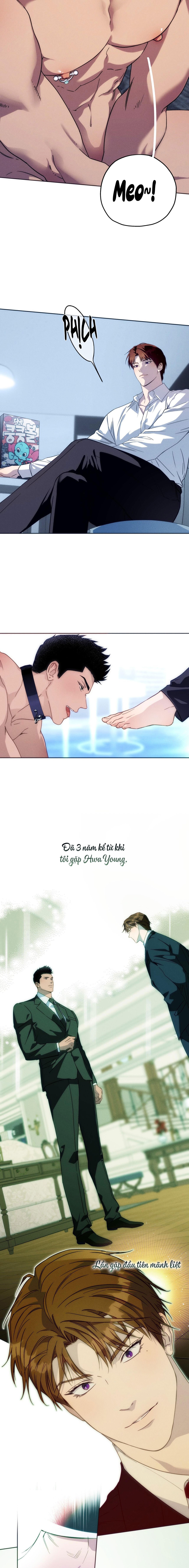 Ang Ang - Chap 96