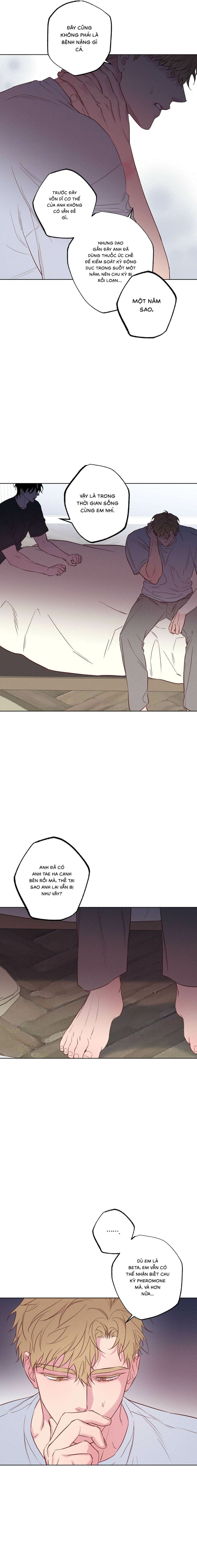 Bờ Biển Nơi Sóng Thuộc Về - Chap 29